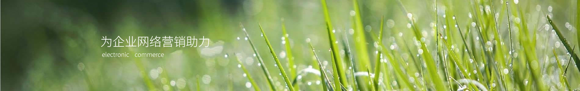 «нմģͿƼ޹˾
